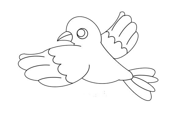 漂亮的鸽子简笔画