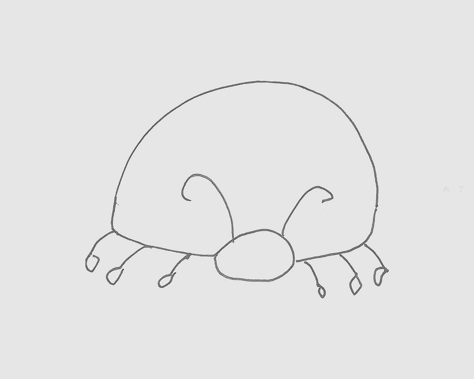 奇特的七星瓢虫绘画作品