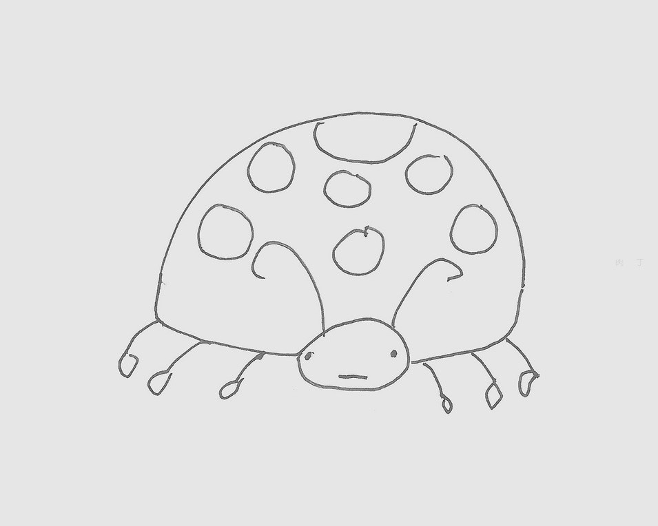 奇特的七星瓢虫绘画作品