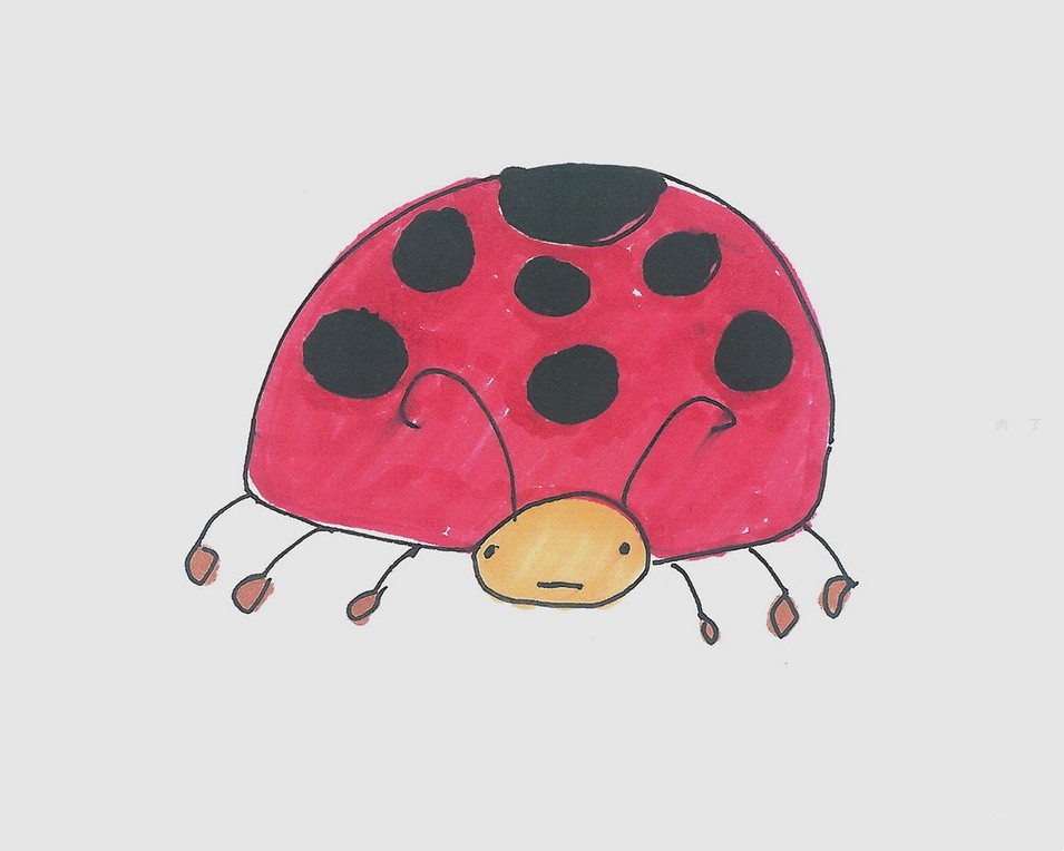 奇特的七星瓢虫绘画作品