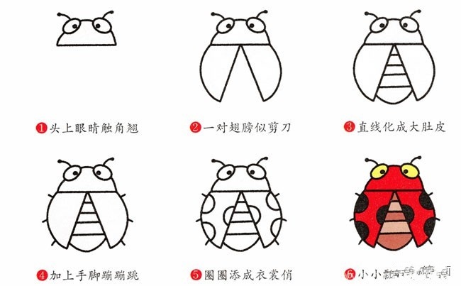 七星瓢虫简笔画