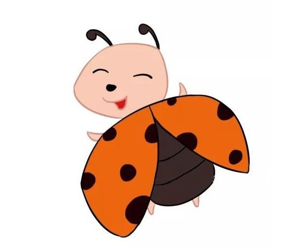 三款卡通七星瓢虫简笔画图片