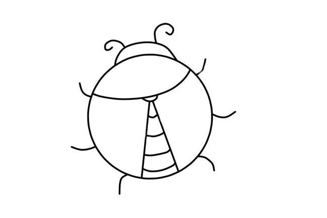 漂亮的七星瓢虫简笔画