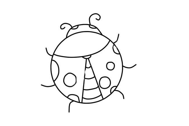 漂亮的七星瓢虫简笔画