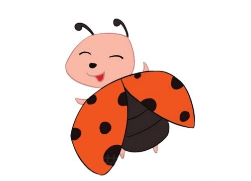 七星瓢虫简笔画图片大全