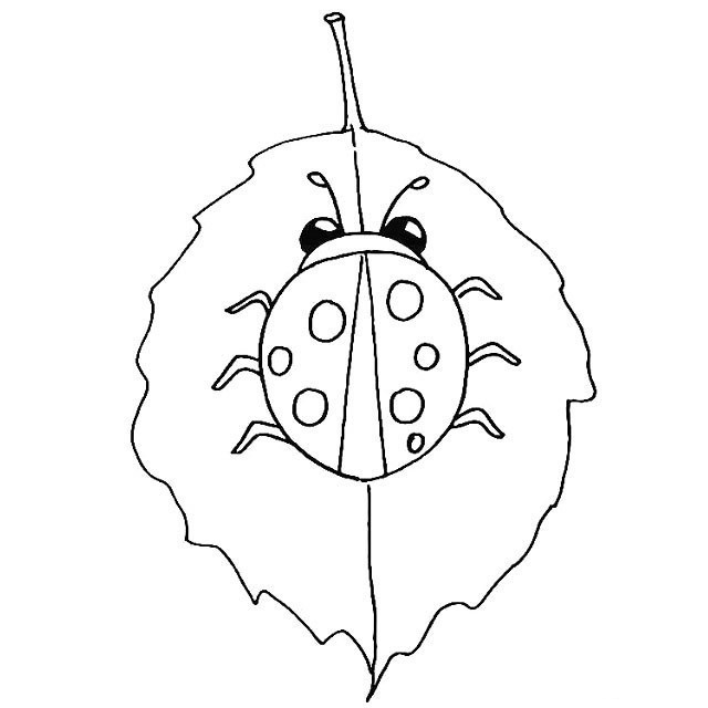 漂亮的七星瓢虫简笔画