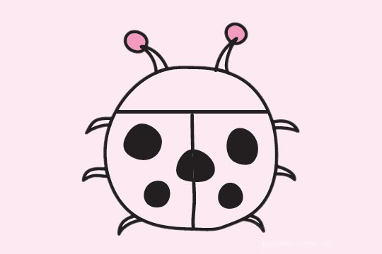 瓢虫简笔画图片大全