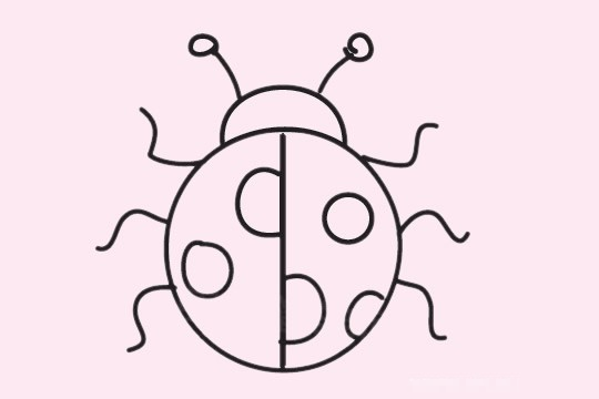 瓢虫简笔画图片大全