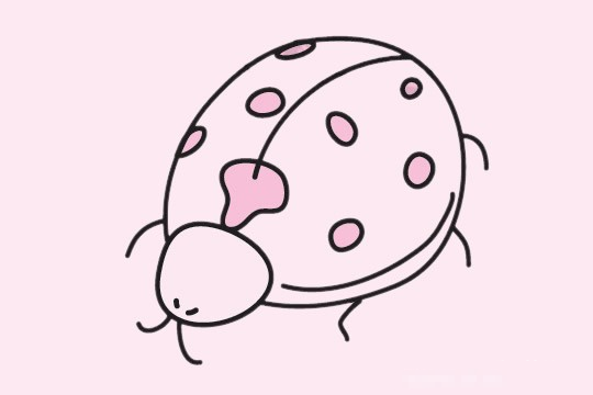 瓢虫简笔画图片大全