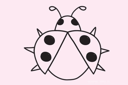 瓢虫简笔画图片大全
