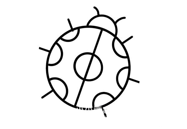 七星瓢虫简笔画