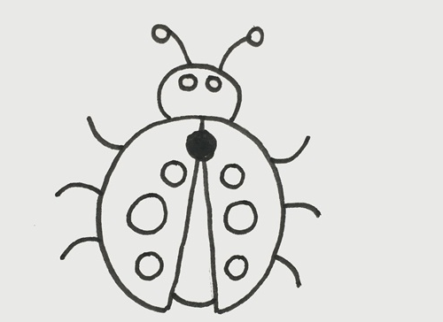 瓢虫简笔画
