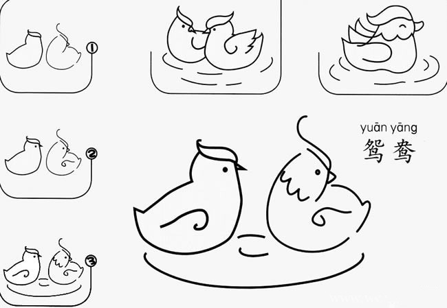 鸳鸯如何简单画