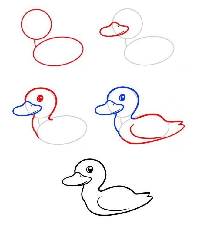 幼儿数鸭子简笔画