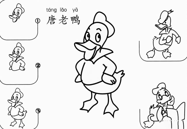 卡通人物唐老鸭的画法步骤图