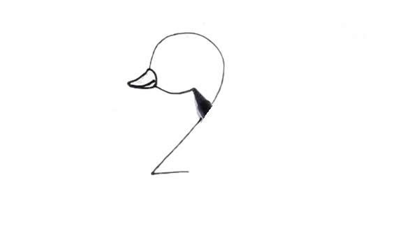 用数字2画小鸭子简笔画