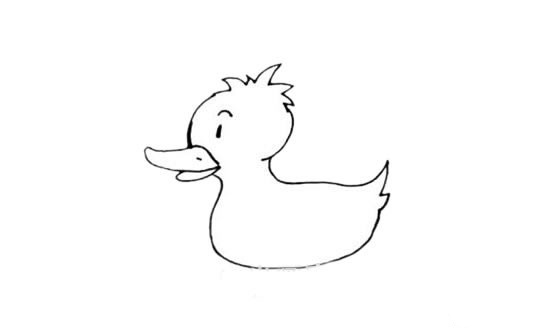 水中的小黄鸭简笔画