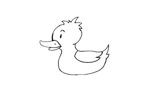 水中的小黄鸭简笔画
