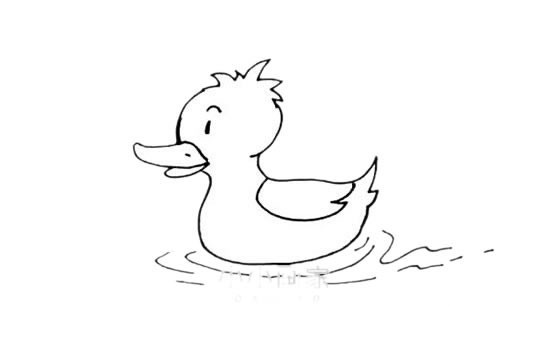 水中的小黄鸭简笔画