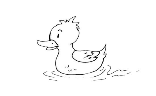 水中的小黄鸭简笔画