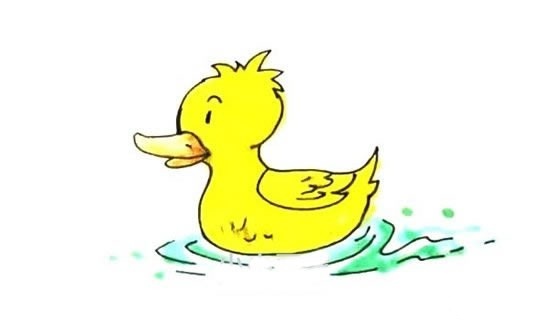 水中的小黄鸭简笔画