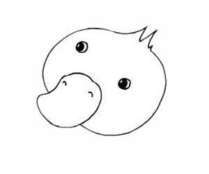 可爱的雏鸭简笔画
